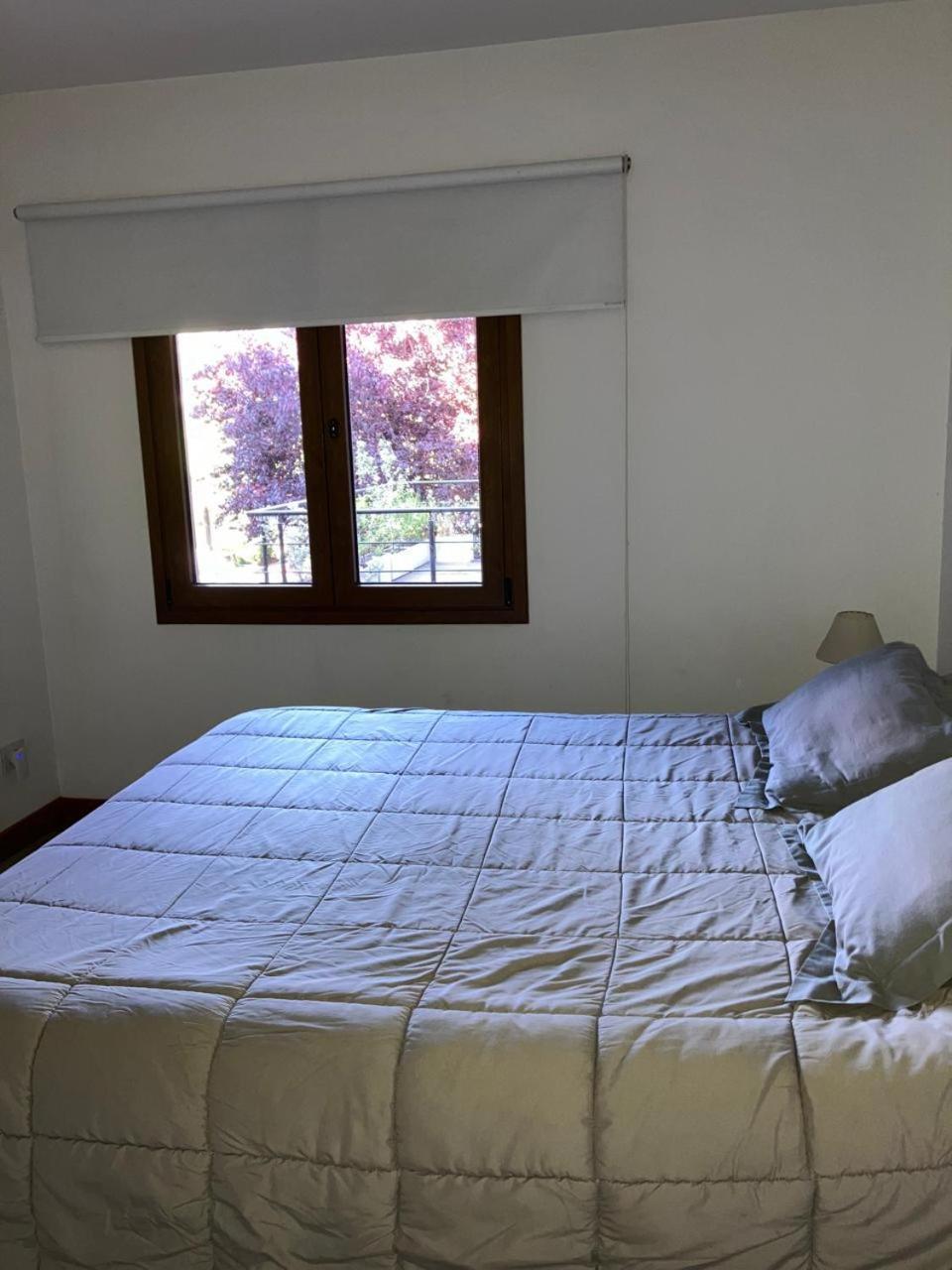 Comodo Departamento Centrico En San Martín de los Andes Exteriör bild